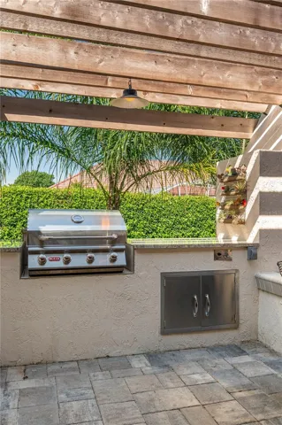 BUILT-IN GRILL