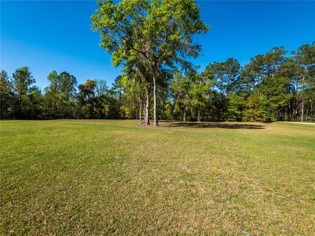 Beautiful Property
