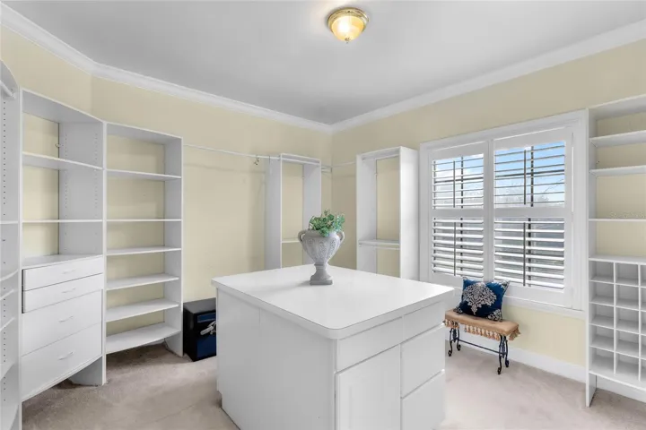 Walk-In Closet in Master Bedroom