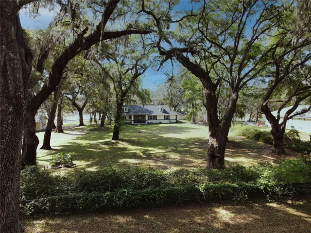 Majestic Oaks