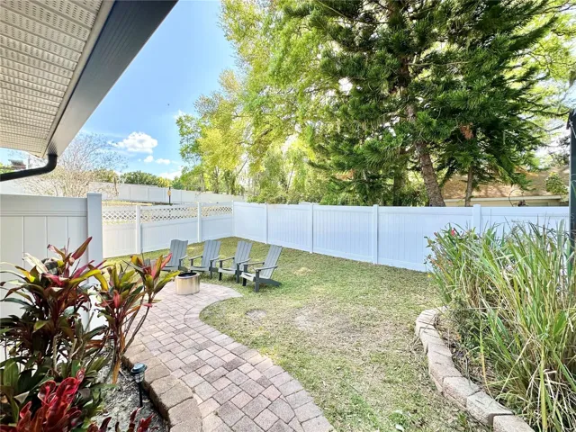 Back yard