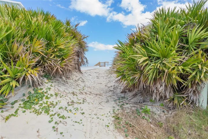 Beach Access