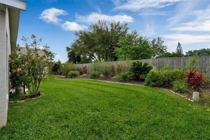 Lovely Backyard