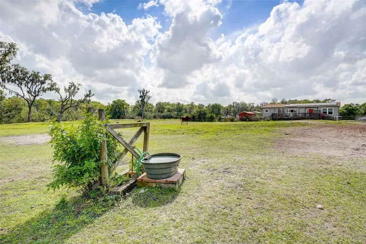Pasture, Water Trough