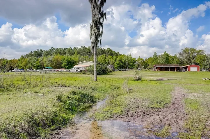 Free Flowing Creek