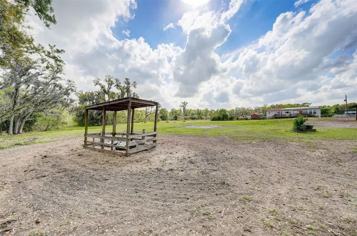 Pasture, Salt Lick