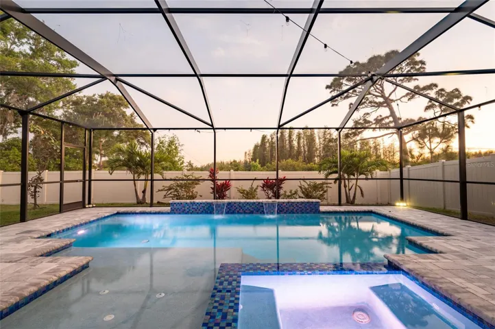 Stunning backyard!