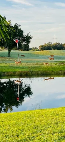 Wildlife