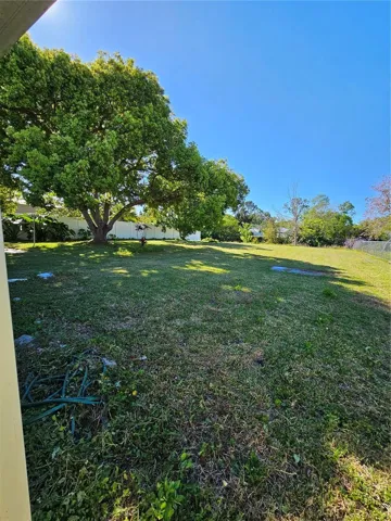 Back Yard Continued