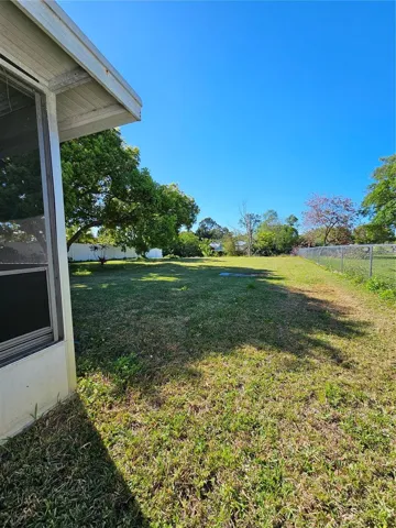 Back yard from the left side