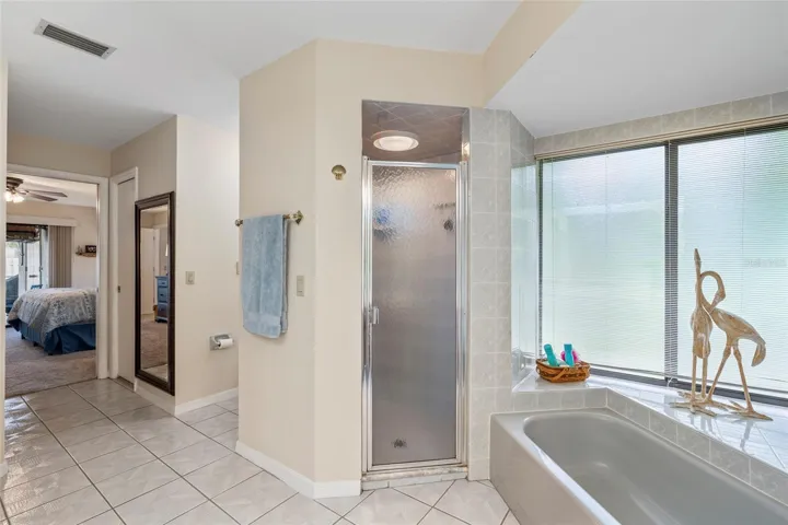 Walk in shower and bathtub