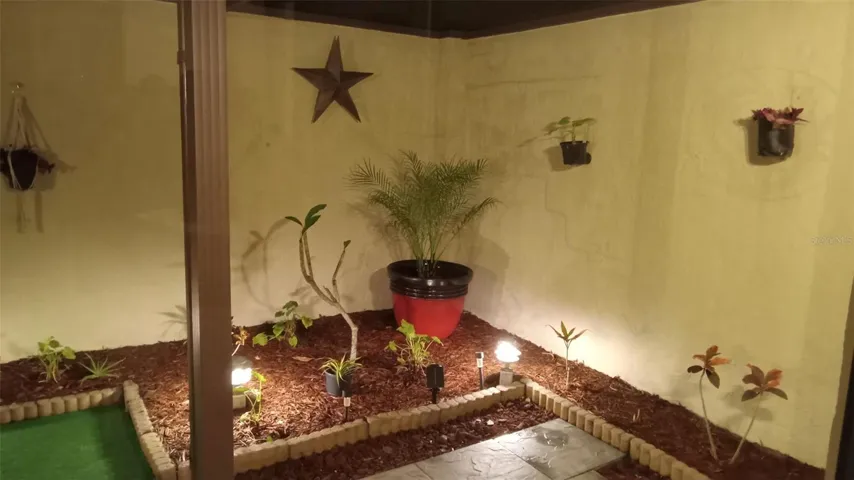 Patio At Night