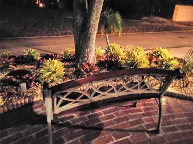 Front Yard At Night