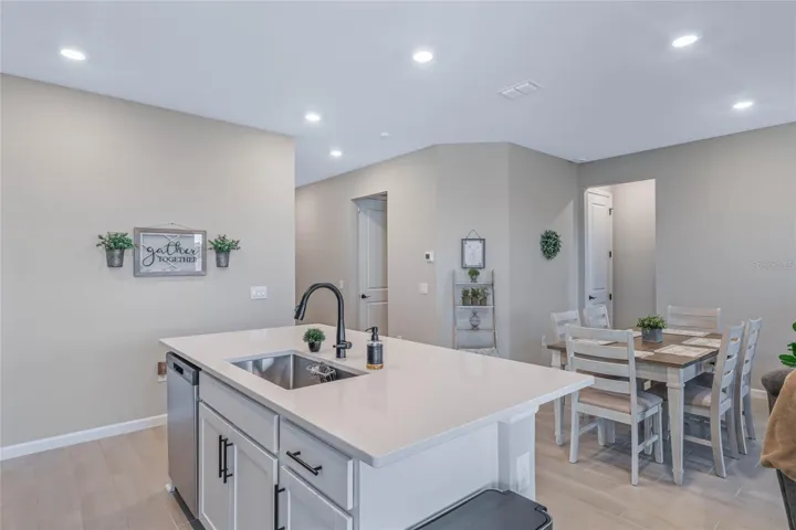 Center Island with Large Sink and Gooseneck Faucet