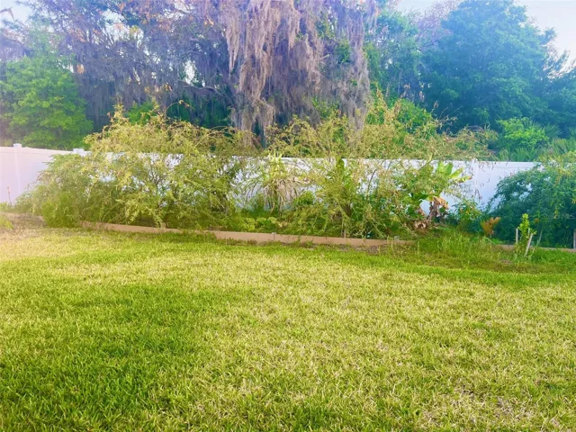 BIG BACKYARD