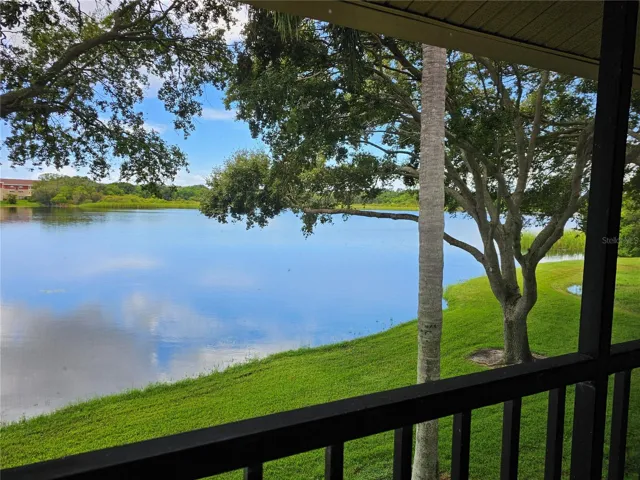 View from the lanai.