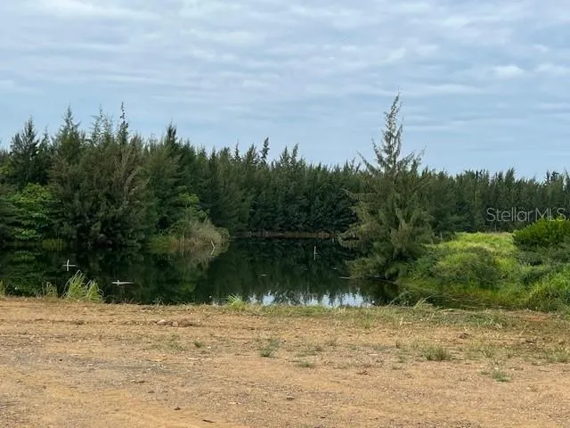 Lot Lake View