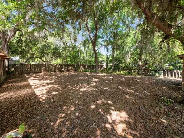 Backyard