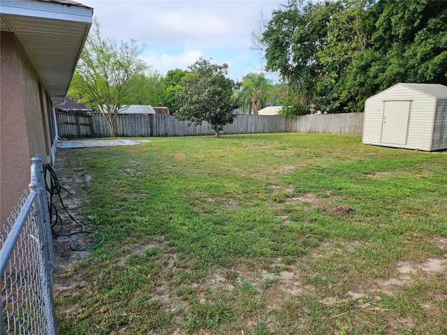 Backyard 2