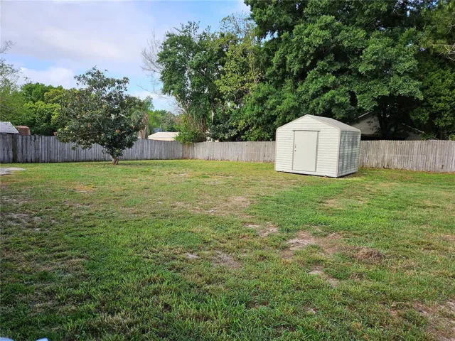 Backyard 1