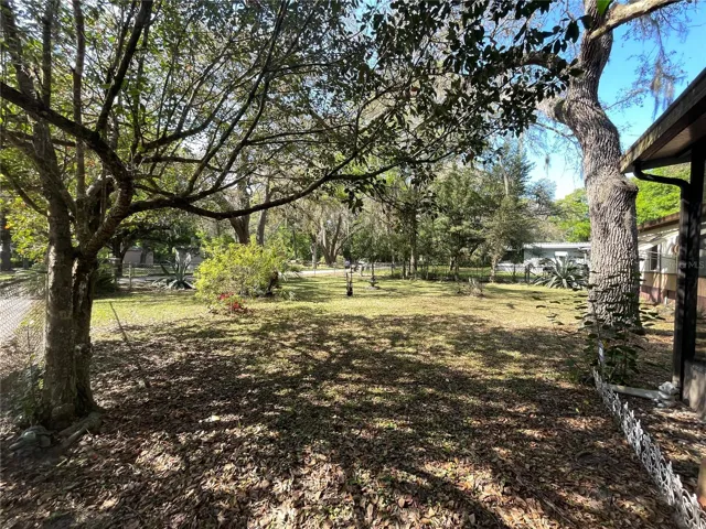 Front Yard
