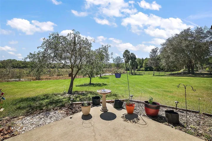 Patio view of back acreage.