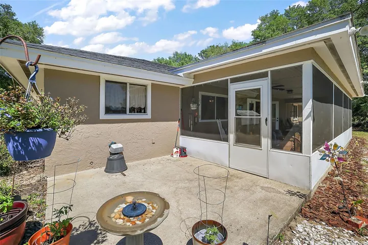 Back Patio.