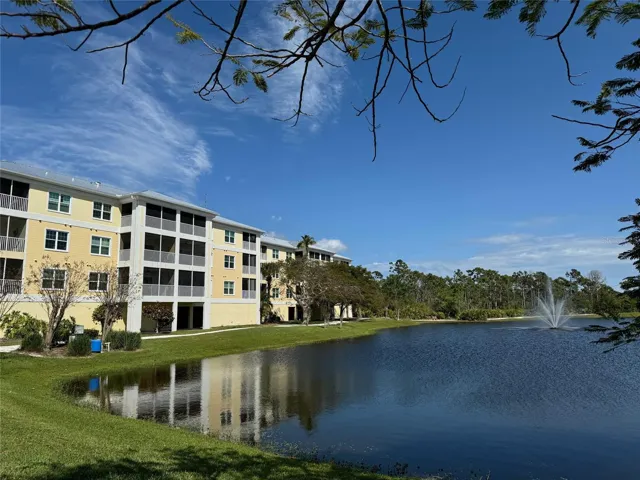 rear pond view