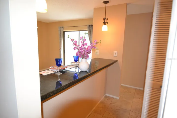 Buffet counter between dining and Laundry