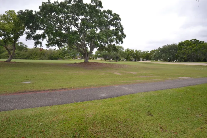Golf Course View out back