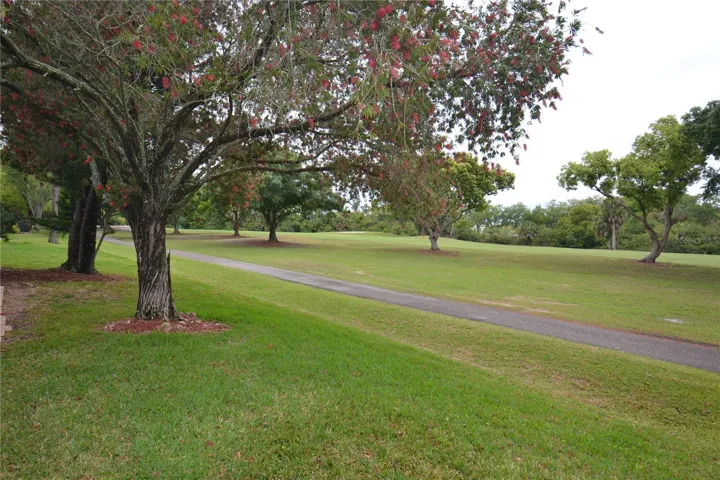 Golf Course View out back