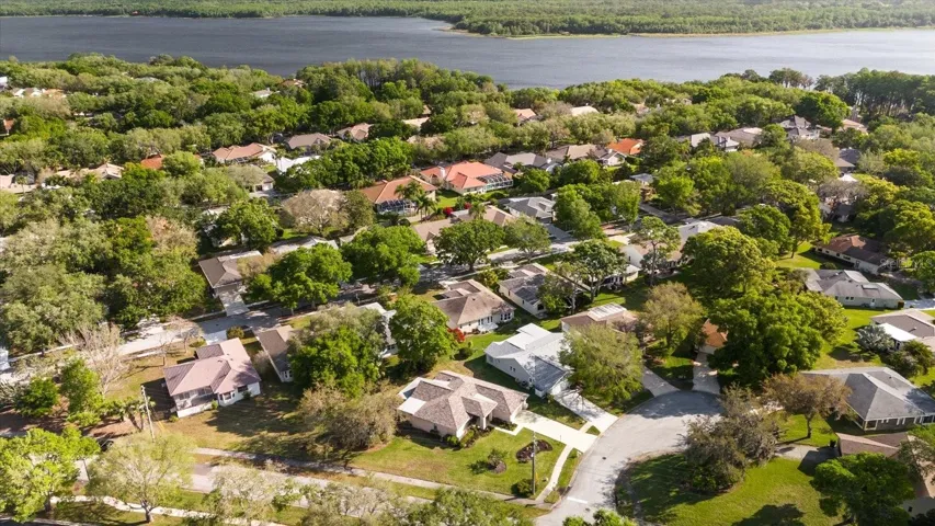 Above the flood plain in walking distance to Lake Tarpon Lodge heated pool & amenities~