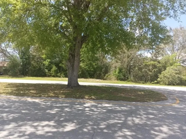 Lot from across the street