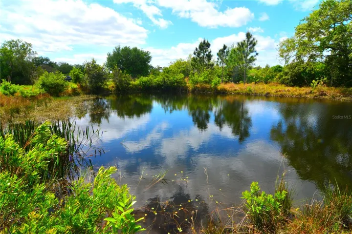 Deep spring fed pond stocked with fish
