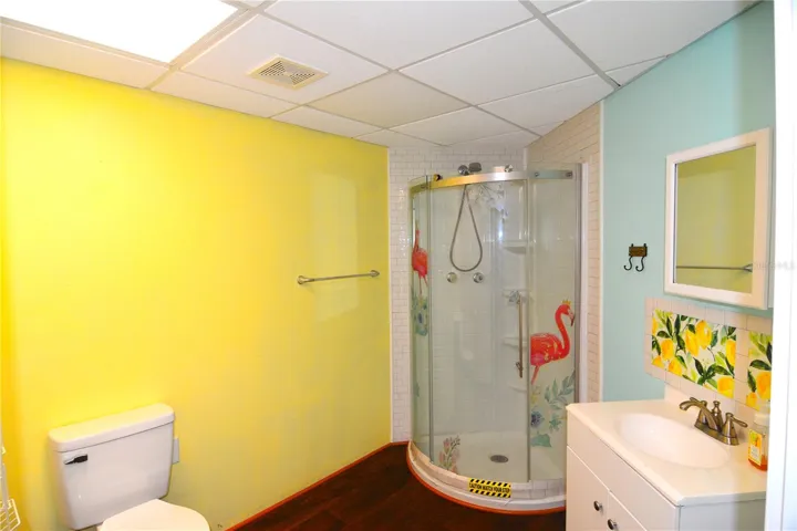 Mancave bathroom