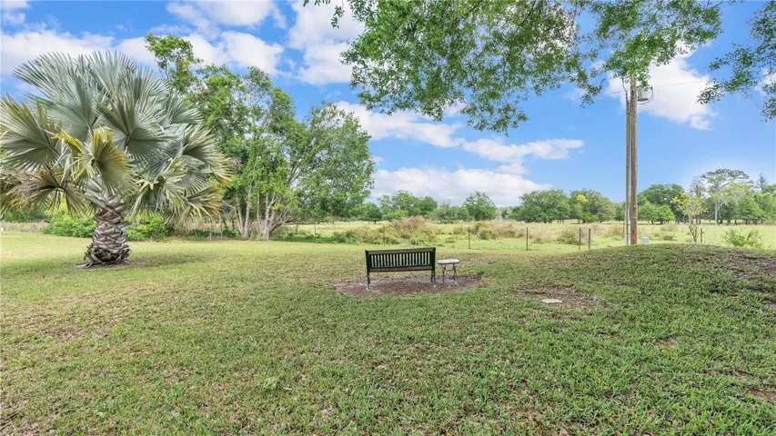 Outdoor Oasis