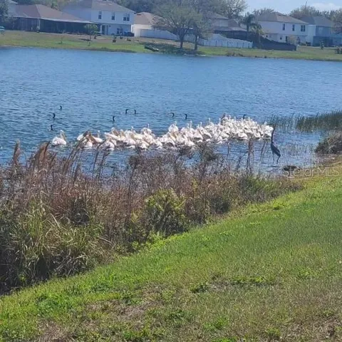 1170
