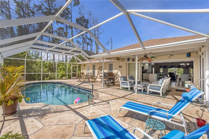 Pool Lounge Area