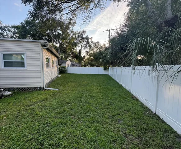 Backyard
