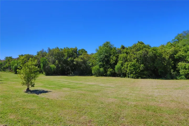 Backyard View