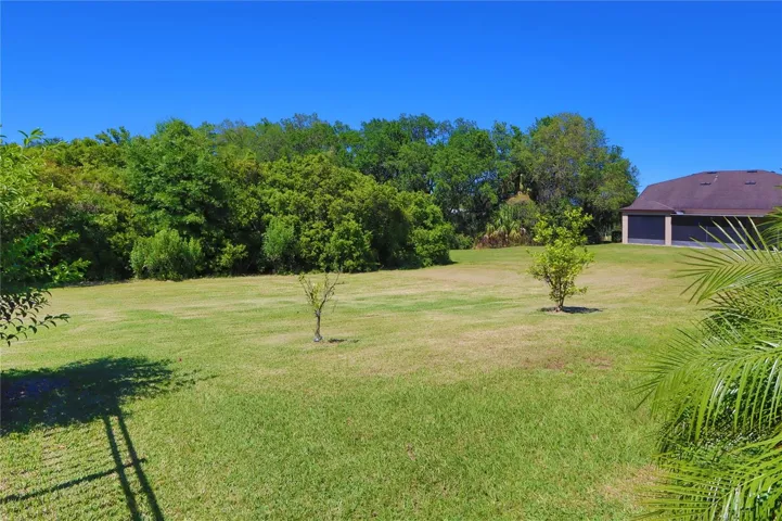 Backyard Area View