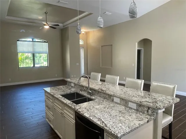 GREAT ROOM TRAY CEILING BAR SINK