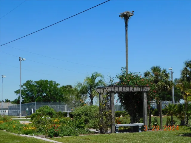 Butterfly garden with a resident osprey minding her nest.