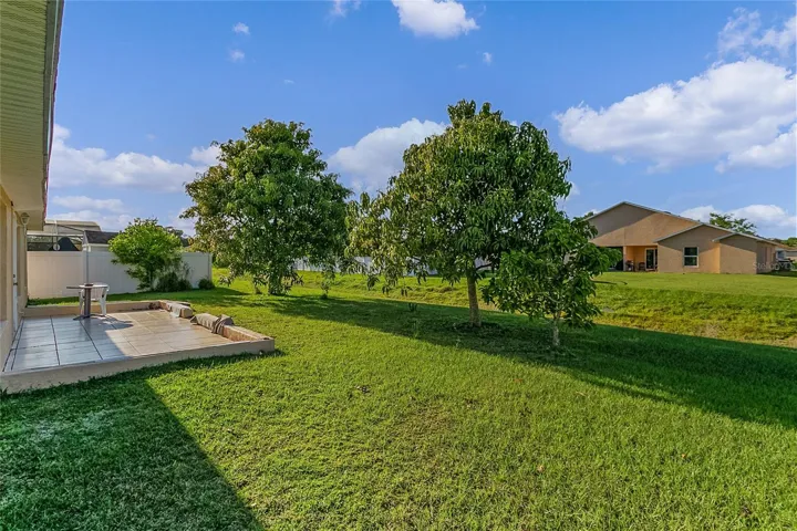 Spacious backyard