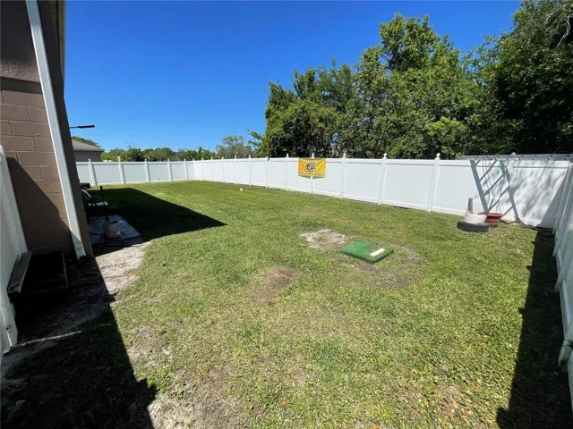 Back yard