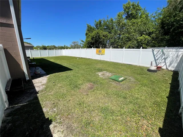 Back yard