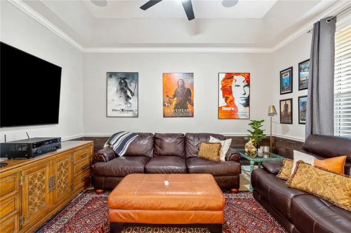 Media Room/Flex Space