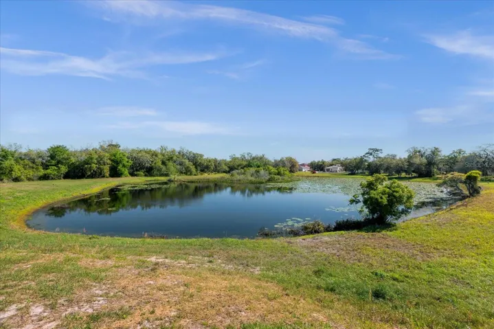 Pond View