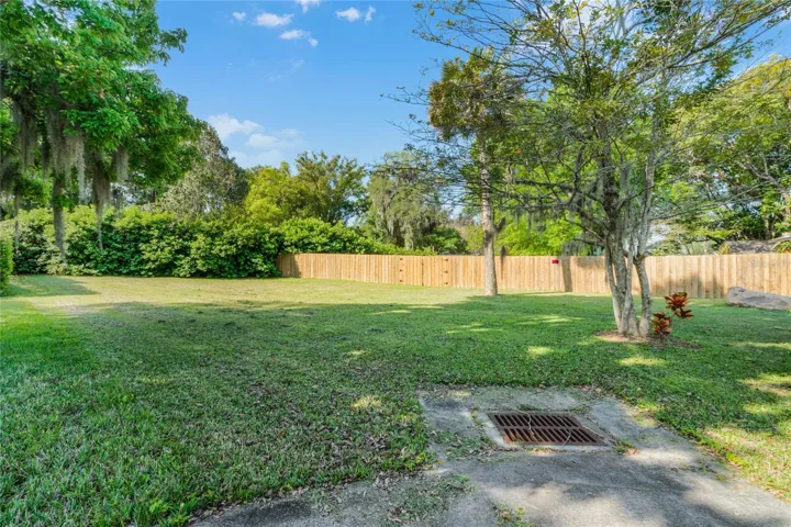 Front Yard