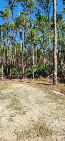 LOT 9 DRIVE ENTRY